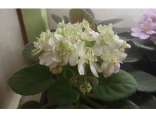 �-��̣��� ���.jpg