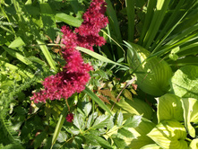 IMG 20180715 151719.jpg