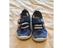 ���� �������