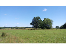 IMG 20180729 120458.jpg