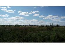 IMG 20180729 143130.jpg