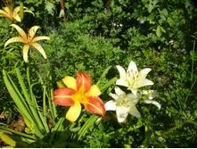 P1070877.JPG �������� ����� ����.