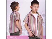 290 ������, 116 ������