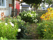 � ��������.JPG