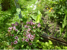 P1070873.JPG �������� ������������