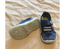 ���� �������