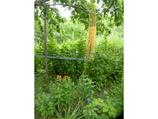 P1070840.JPG ����� ���������