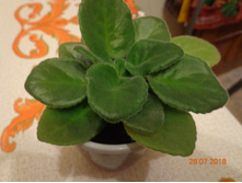 ������������ ����-�������