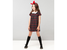 ���. ����