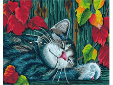 �������� ������� GF 769 ������ ��� 40*50 ����: 760.00 RUB