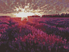 EF 193 ������� 30*40 ����: 710.00 RUB