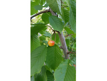 �� ����� ������!!!!