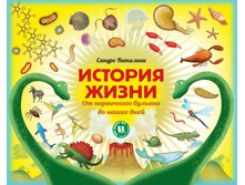 ������� �����. �� ���������� ������� �� ����� ����.jpg