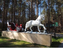 DSCN7415.JPG