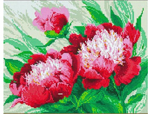 �������� ������� QA 202174 ������� ����� 40*50 ����: 670.00 RUB