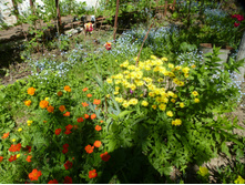 P1070817.JPG ��������,��������� � ���������