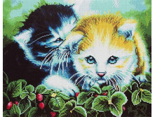 GF 1373 ������ 40*50 ����: 1010.00 RUB