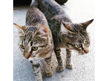 ���������� ������.jpg