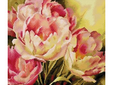 �������� ������� GF 457 ������ �������� 40*50 ����: 760.00 RUB