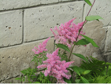 �������� �������.JPG