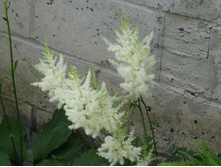 �������� �����.JPG