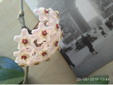 ���� (1).jpg