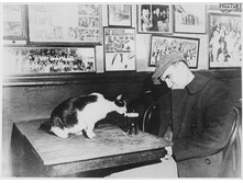 ���� ��� ������!