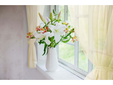 ����013-03757 ������.jpg