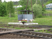 112-zMIPzsiBB8I.jpg