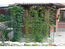 ��������� ����� ������� ������ - ��� ������, ������. ����. ������������� ���������� 205 �. �������� 9 ��.