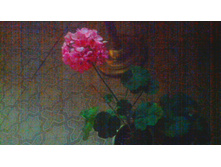 ���������� PAC Spanish Wine Rose