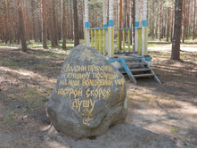 DSCN7398.JPG