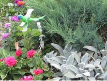 � ��������.JPG