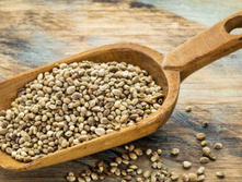 1. ������ �������