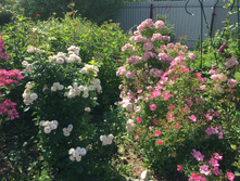 ������� � �������