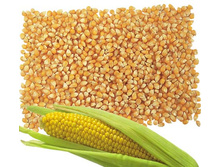 �������� ��� �������� 1��