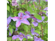 ��������� ����� ������ ������ - ��� ���������� ������. ����. ������������� ����������. 210 ���. �������� �����