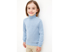 20120320027   Rover   �������.jpg