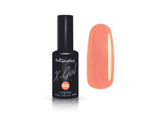 ����-��� Ingarden X-Gel №42.jpg