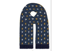 20106440029   Rao   �������.jpg