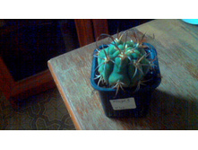 �������������