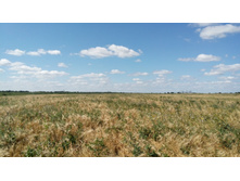 IMG 20180729 134103.jpg