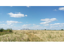 IMG 20180729 135943.jpg