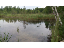 IMG 20180701 132550.jpg