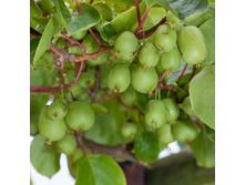 ��������� ������ ������ ���� 1�� - 190�.jpg