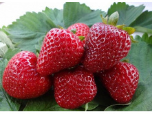 ��������� �������, 50 ��� (�������� 20��).jpg