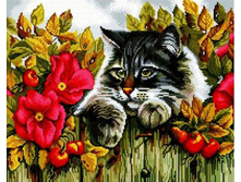 �������� ������� GF 775 �������� ��� 40*50 ����: 760.00 RUB