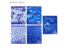 ������� 48 ������ ������ ����, ��������� �������, ���, 5 ����� ���� ���.509934 ���� 19,31 ��� �� 10 �� ������! ������!.jpg