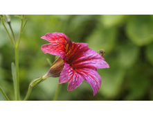 �������������