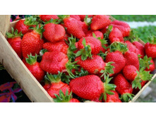 �������� ���������